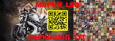 молекула духа Пенза