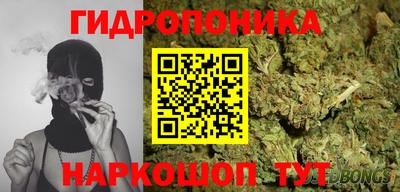 молекула духа Пенза