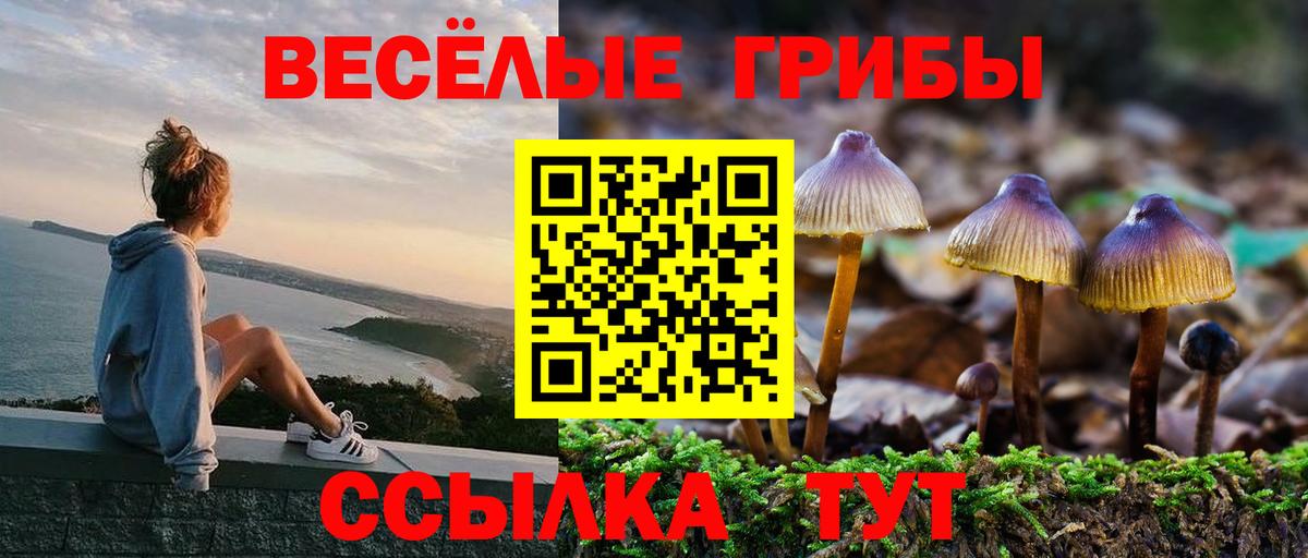 Псилоцибиновые грибы MAGIC MUSHROOMS Уварово