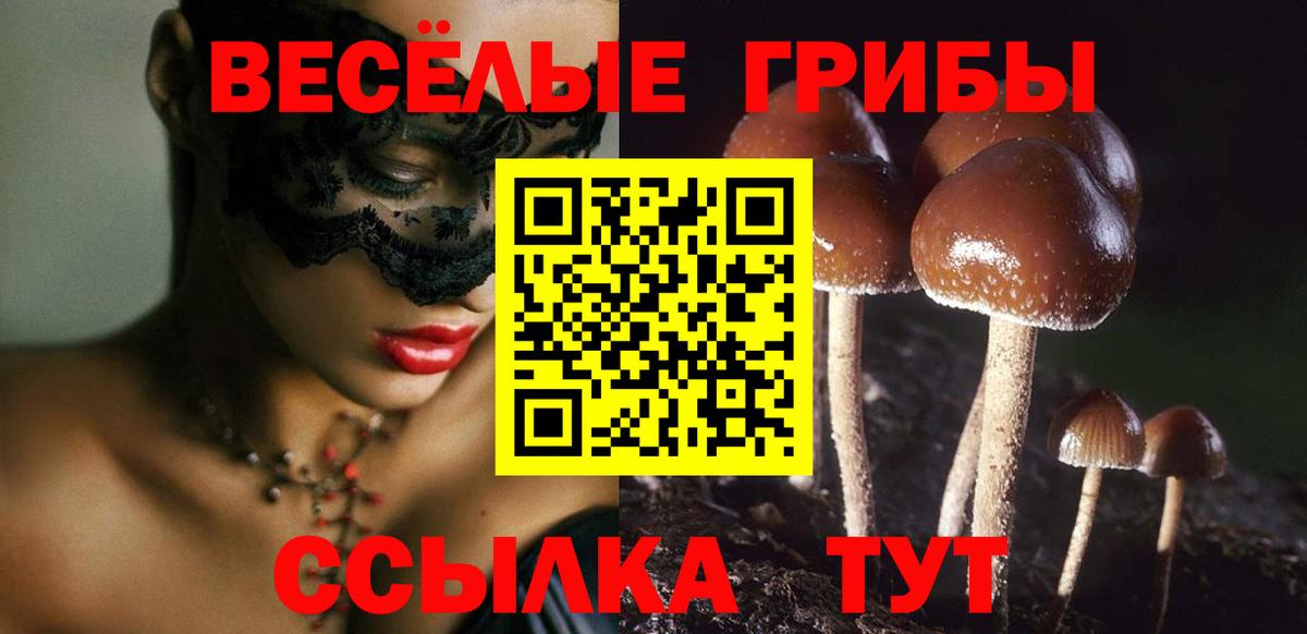 Уварово  Псилоцибиновые грибы мухоморы  где купить наркоту  Вход с VPN  Псилоцибиновые грибы Psilocybe 